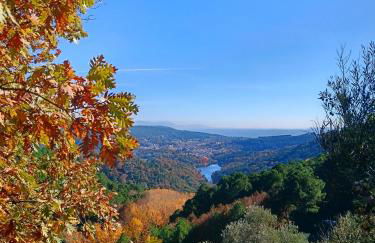 Estrellas de Gredos - Photo 34