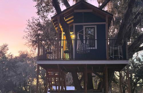 Farmhouse Oasis w Pool Heated Spa Treehouse and Game Room Located Centrally off I-4 - Foto 3