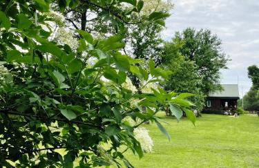 Dom na skraju Puszczy Białowieskiej - Foto 38