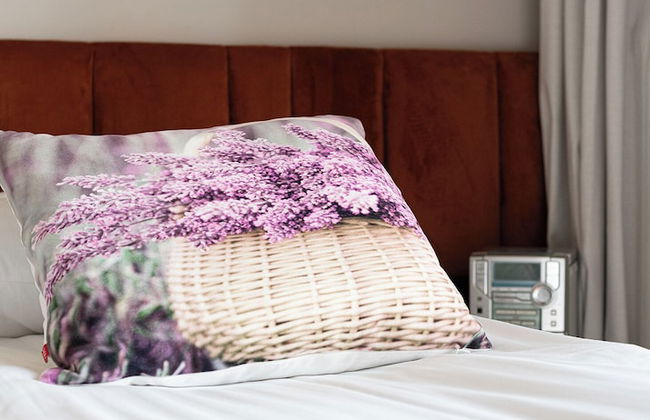 RentPlanet - Diasfera Łódzka - Foto 8