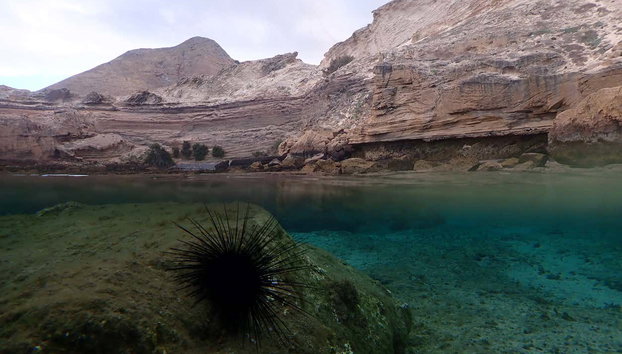 Snorkel en Porto Santo - Foto 5, La playa de Porto dos Frades