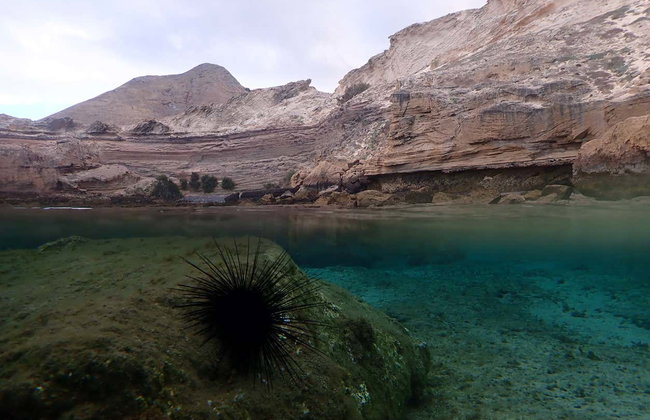 Snorkeling à Porto Santo - Foto 5