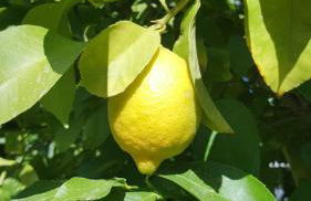 House & Private Pool, Fast Wifi, Great Location! - Foto 11