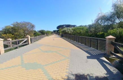 Apartamento Playa de Punta Candor - Foto 38