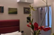 Casa Vacanze Piccolpasso 20 - Foto 67