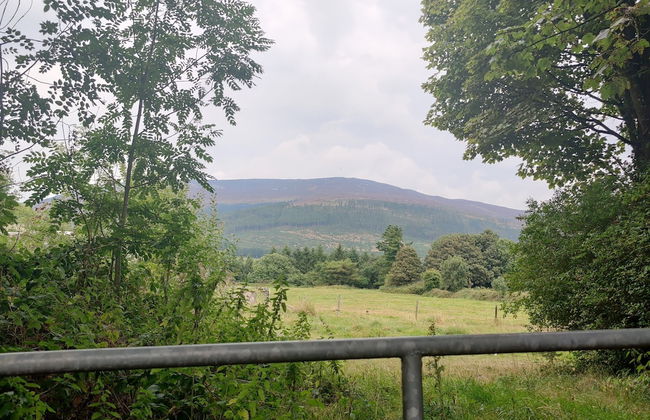 Lovely 4-bed Apartment in Mullaghbawn Newry - Foto 6