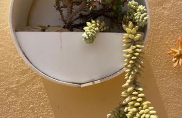 Eco House Golfinhos - Photo 9