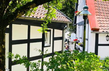 Lateinschule - Foto 27