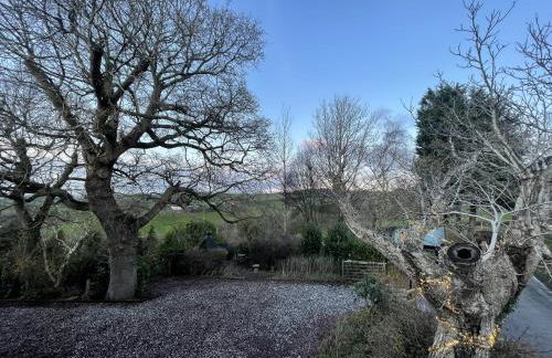 Upper Gelli Luxury Holiday Lodge, Converted Dairy & Cosy Shepherds Huts - Photo 38