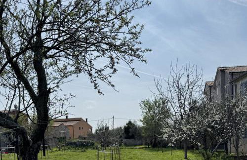 Apartments Milan - Photo 9