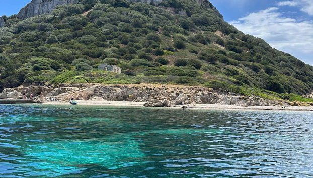 Avvistamento dei delfini sull'isola di Figarolo - Foto 3