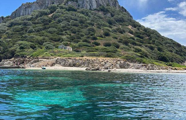 Avistamiento de delfines en la isla de Figarolo - Foto 3