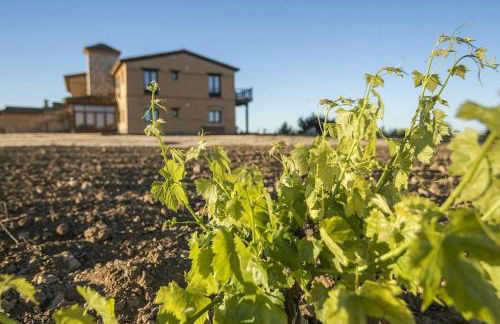 Las Viñas Pinilla - Foto 15