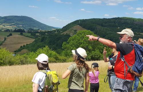 Charmantes Ferienhaus mit Naturgarten - Foto 54
