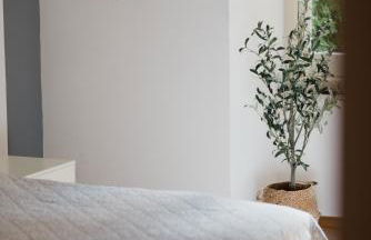 L'ulivo e il colibrì - Foto 16