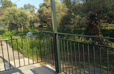 Niki's House - Foto 24