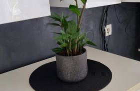 Laura Exclusive, dizajnerski uređen stan, izvrsno opremljen, self check-in - Foto 34