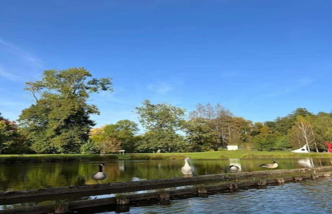 Chalet in Belgium With Stunning Views - Foto 36