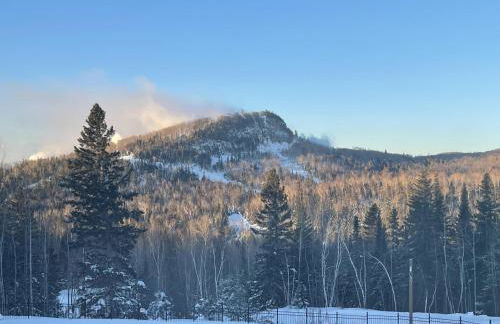 Fully updated condo ski in ski out hot tub pool - Foto 14