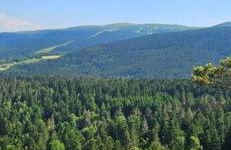 Gite Grand Confort en pleine nature - Le Perchoir de l'Olme - Foto 1