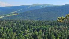 Gite Grand Confort en pleine nature - Le Perchoir de l'Olme - Foto 1