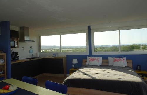 Domaine du Petit Tournebelle - Foto 15