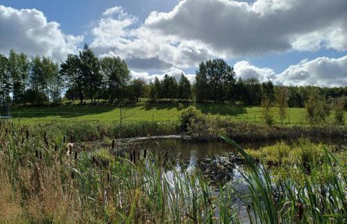 Siedlisko Dwa Żurawie - Uroczy domek nad stawem, z kominkiem, obok konie - Foto 29