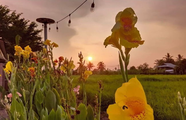 Kurau Inn Farmstay - Photo 27