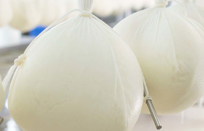 Visita a la quesería Subaida - Foto 6