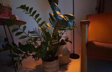 Apto RioCentro, Parque Olímpico Barra da Tijuca RJ - Foto 3