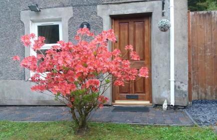 Llugwy Cottage - Foto 4