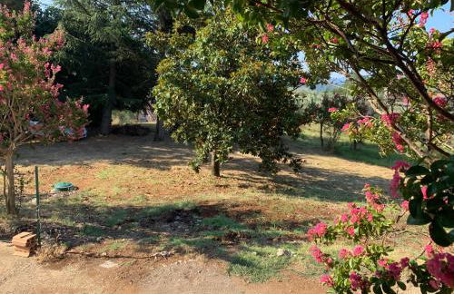 Casale Ugo e Letizia - Foto 12