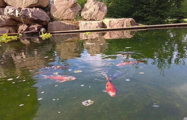 Les nuits insolites de la mothe tiny house - Foto 10