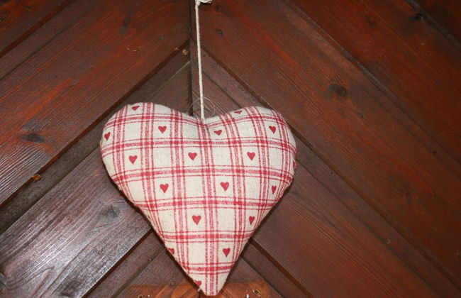 Dog-friendly Holiday Home in the Knull - Foto 16