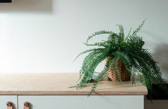 Le Jaune Girasol - Résidence Mariotte - Foto 17