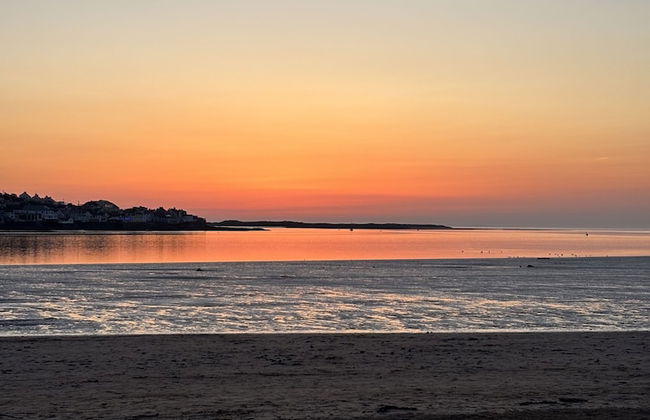 Holly Hayes House - Photo 58