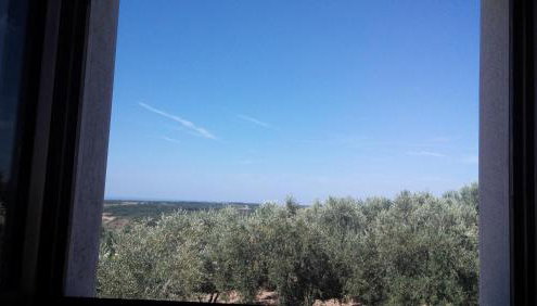 Apartment Agroturizam Radešić - Foto 2