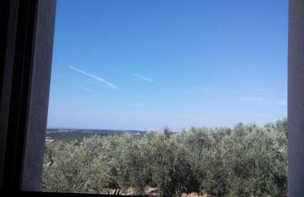 Apartment Agroturizam Radešić - Foto 2