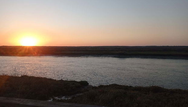 Ammirando le paludi dell'Odiel