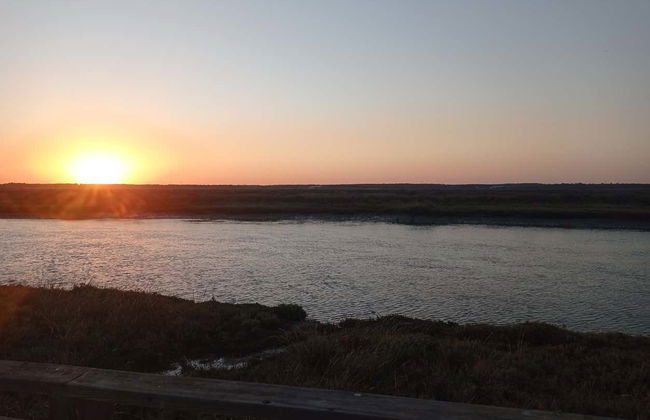 Bike Tour through the Odiel Marshes - Photo 4