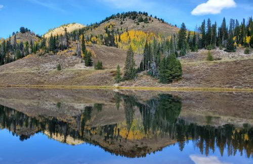 Riverhouse - Foto 33