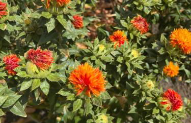 Casa Escanfraga I - Foto 15