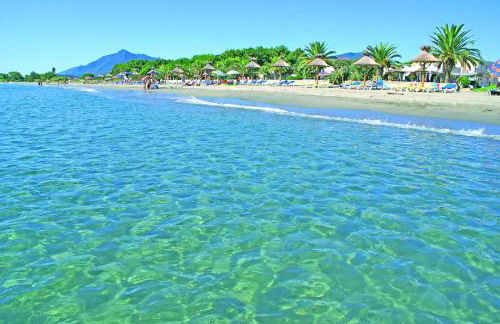 Les bougainvilliers - Foto 23