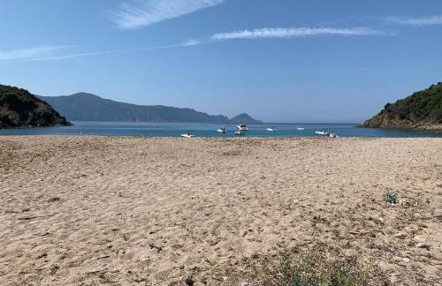 Les Asphodèles - Foto 20