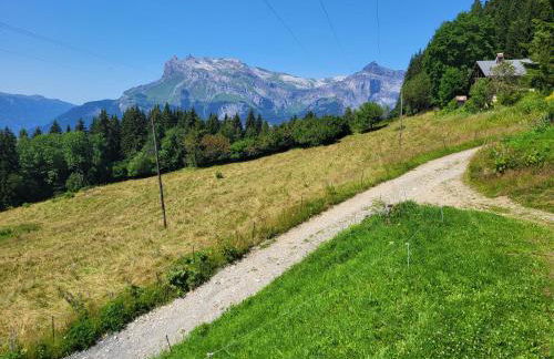 Chalet d'alpage avec vue incroyable - Foto 40