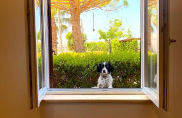 Tenuta Fasanarella - Foto 12