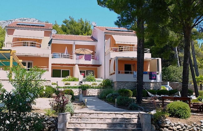 Dino - Gorgeous Garden - SA1 Zavala - Photo 39