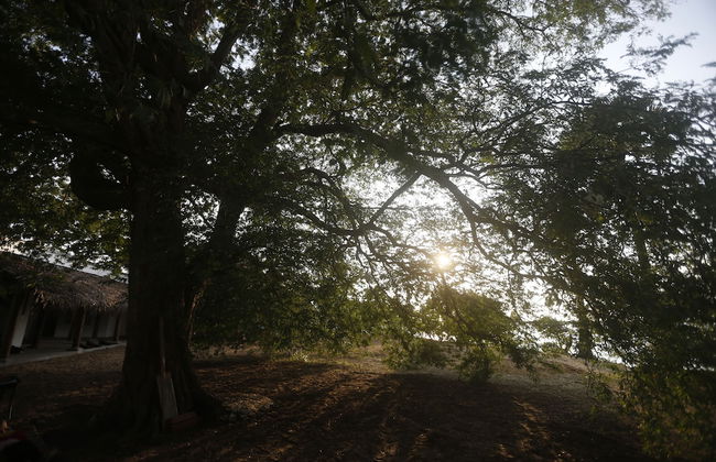 The Villa Kalpitiya - Foto 16