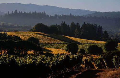 Crispin Cottage - Foto 28