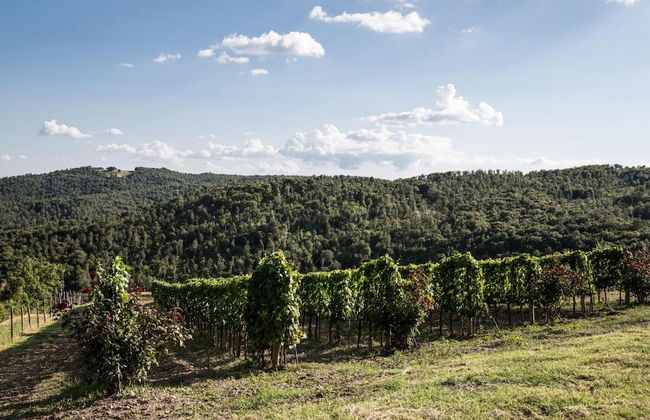 Casa Guaitoli - Foto 25